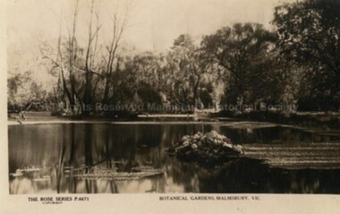 Postcard (Item), "Postcard Botanical Gardens Malmsbury, Rose Series P4671", Malmsbury c1927