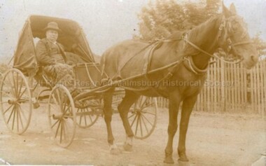 Postcard (Item), "Elderly Man In A Horse & Buggy, Sent To Mrs George Main", Malmsbury c1910