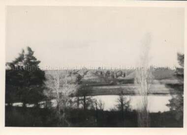 Photograph (Item), Malmsbury Reservoir, Malmsbury ca1990