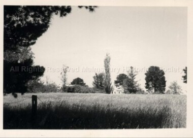 Photograph (Item), Corner Of Ellesmere Pl.& Clowes St., Malmsbury ca1990