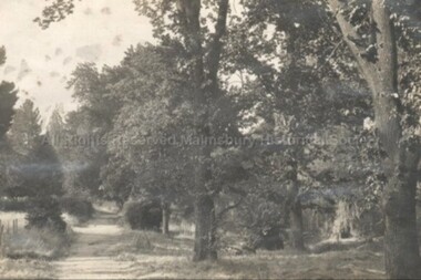 Photograph (Item), B/W Photo Malmsbury Gardens? C1920, Malmsbury c1920
