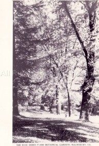 Postcard (Item), Malmsbury Gardens, Malmsbury