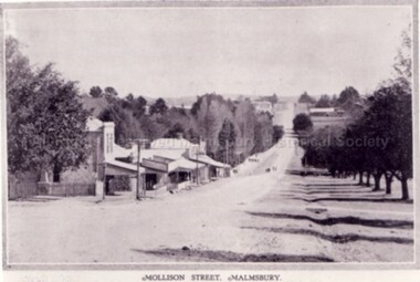 Postcard (Item), "Mollison Street Malmsbury Rose P4158,See 1pcd0011r", Malmsbury c1927