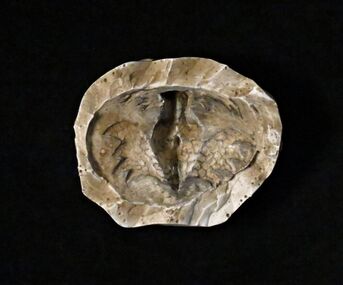 Silicon Mould, Matcham Skipper (1921-2011), Untitled