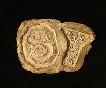 Silicon Mould, Untitled
