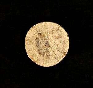Plaster Mould, Untitled (Lion)