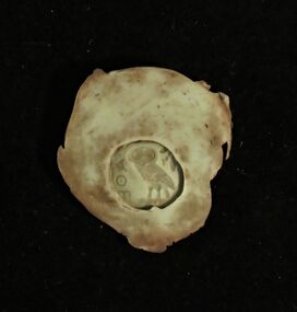 Silicon Mould, Untitled (Owl)