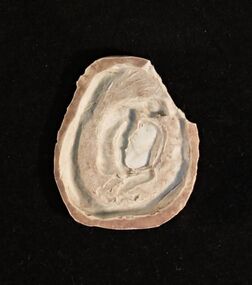 Silicon Mould, Untitled