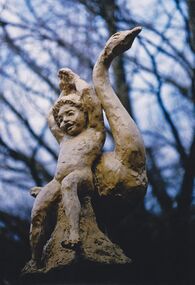 Photograph, Untitled (Boy with Swan)
