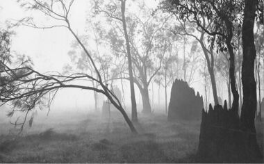 Photograph, These were my Tribesmen