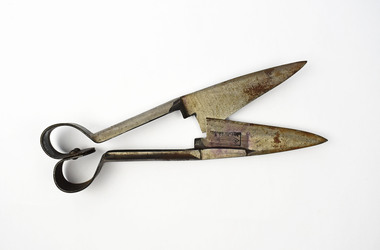 Shears