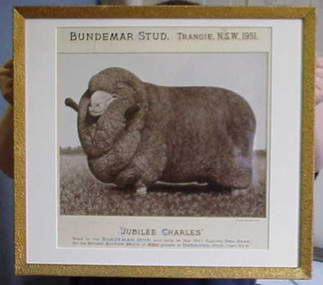 Photograph, Jubilee Charles