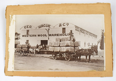 Photograph