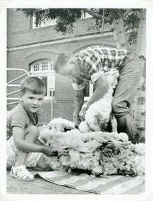 Photograph