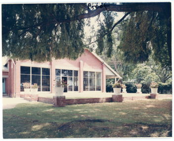 Photograph
