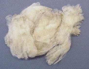 Sample, Wool