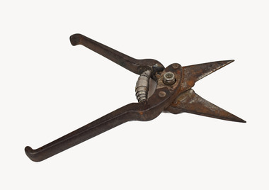 Tool - Secateurs