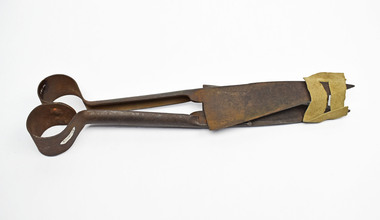 Shears