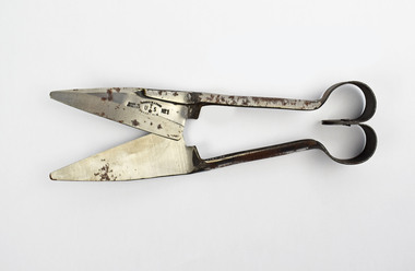 Shears