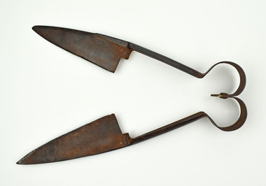 Tool - Shears