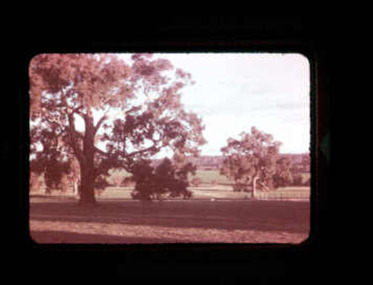 Slide - Western District Pastures