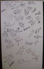 Panel, Signature panel