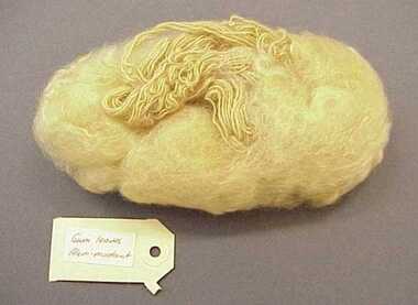 Sample, Wool
