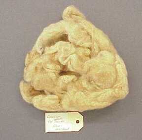 Sample, Wool