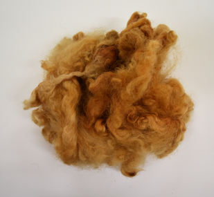 Sample, Wool