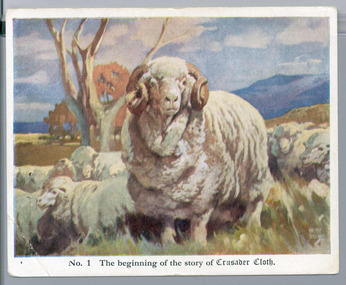 Card - Crusader Cloth Card, No. 1, Stamina Clothing Company, 1948