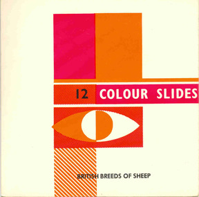 Photograph - Slide Folder, British Breeds of Sheep, 1965 - 1975