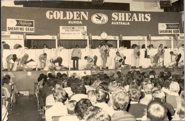 Photograph, Out on the board for the FGA Golden Shears Open Championship