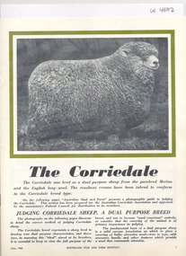 Booklet, The Corriedale