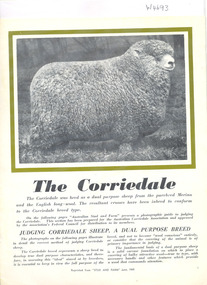 Booklet, The Corriedale