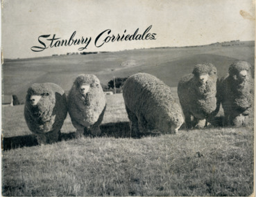 Booklet, Stanbury corriedales, 1960