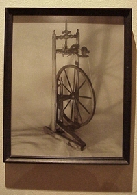 Photograph