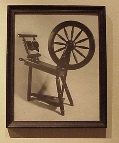 Photograph