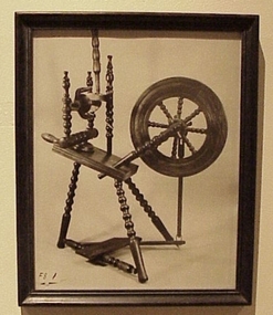 Photograph