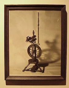 Photograph