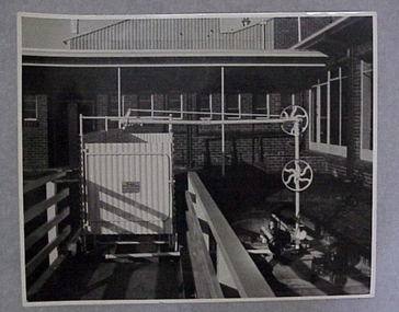 Photograph, Cooper Race Type Sheep Shower First Marketed 1946