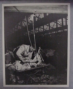 Photograph, Shearing Table