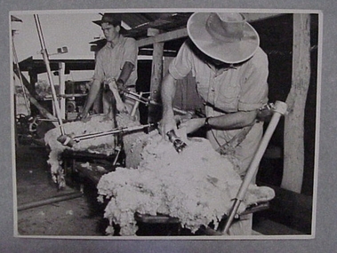 Photograph, Shearing Table
