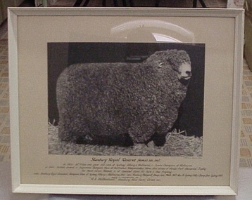 Photograph, Stanbury Royal Reserve (Rew. 62.315.260)