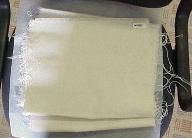 Sample, Cloth