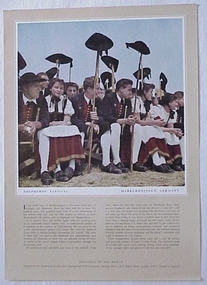 Poster, Shepherd's Festival, Markgroningen, Germany