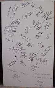 Panel, Signature panel