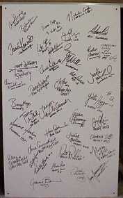 Panel, Signature panel
