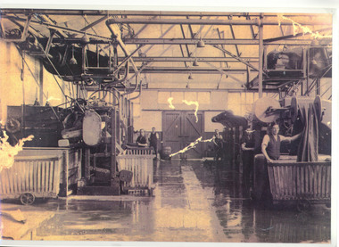 Photograph