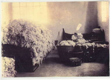 Photograph