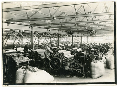 Photograph - Carding Room, Federal Mills, Geelong, 1918-1920